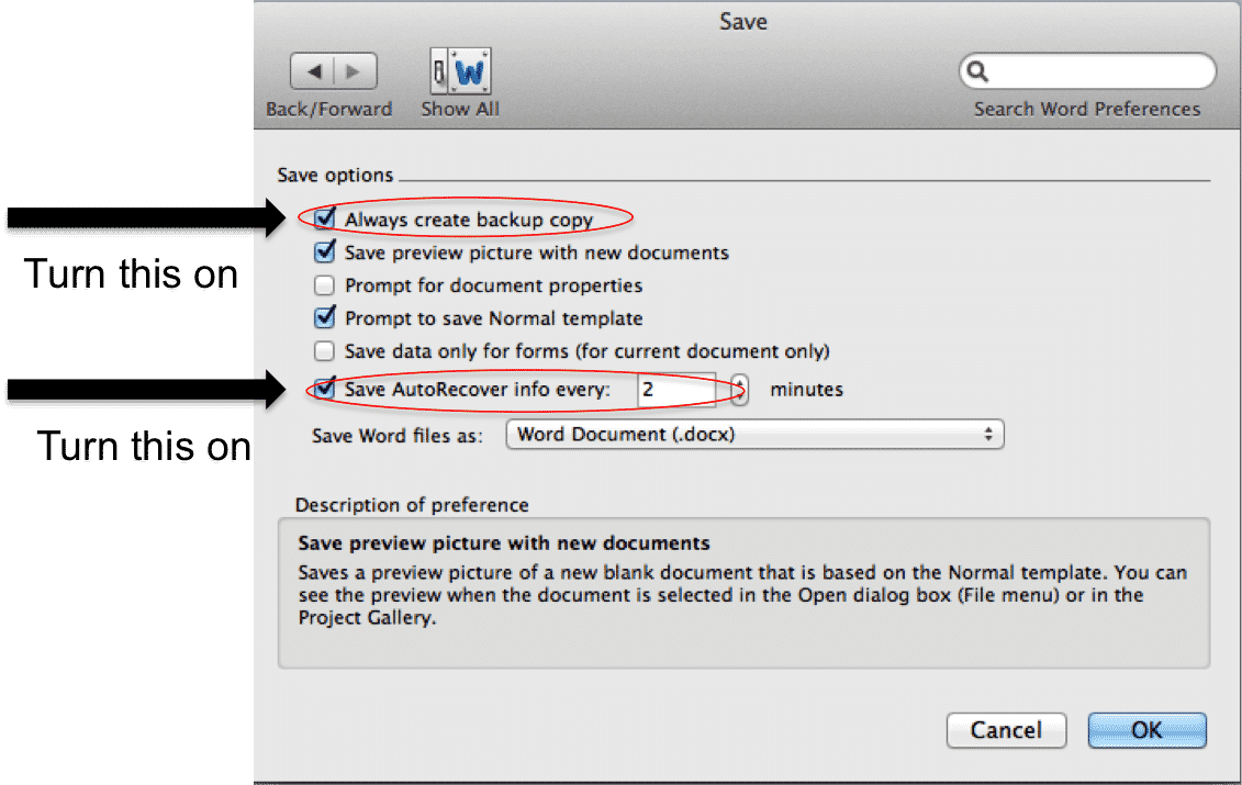 set backup copies in word for mac 2011