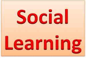 SocialLearning 300x202 - Social Learning - Going beyond the LMS