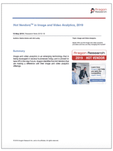 Hot Vendors 2019 Image and Video Analytics