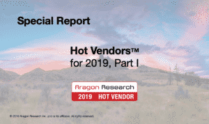 Special Report Hot Vendors for 2019 Part 1 Graphic 300x178 - Special Reports