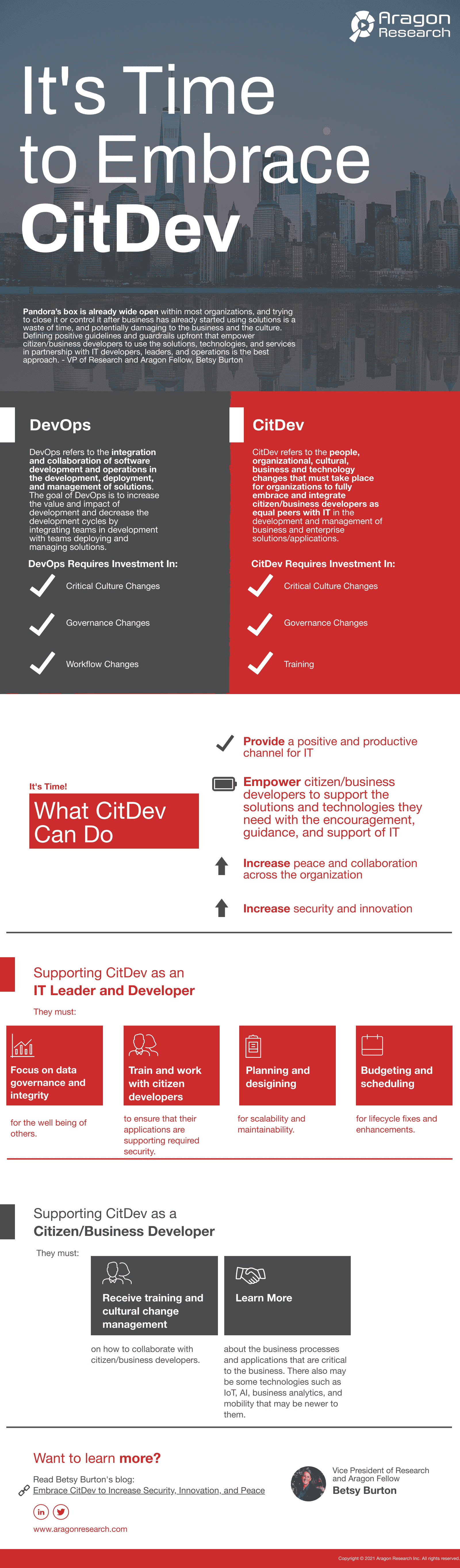CitDev Infographic