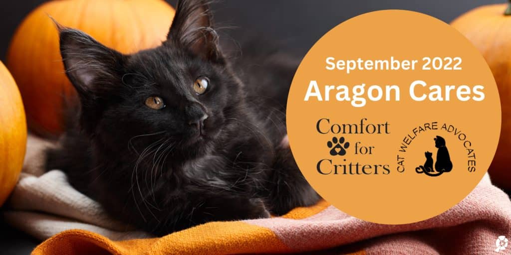 AragonCare Sept22 banner 1024x512 - September 2022 Aragon Cares: Blankets for Comfort for Critters