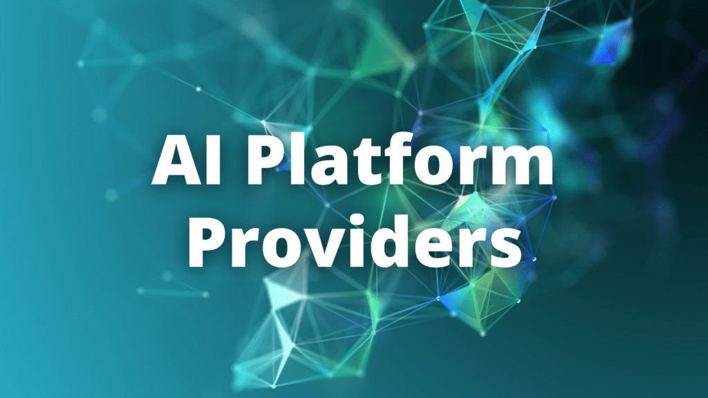 AI Platform Providers